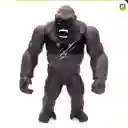 Godzilla Vs King Kong