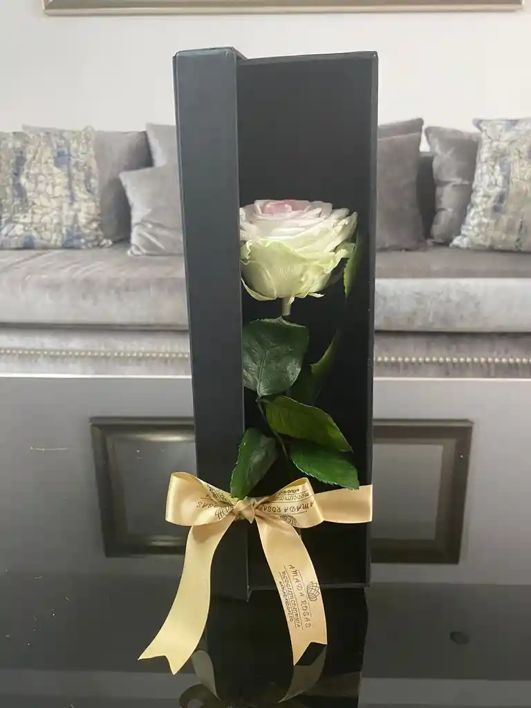 Rosa Eterna En Caja Luxury