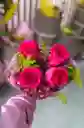 Bouquet De Rosas Fucsia