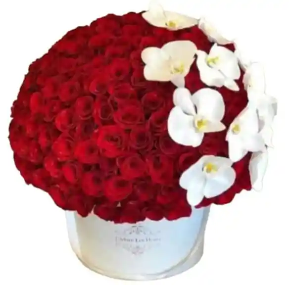 Rosas- Caja De Rosas X100 Y Orquídeas