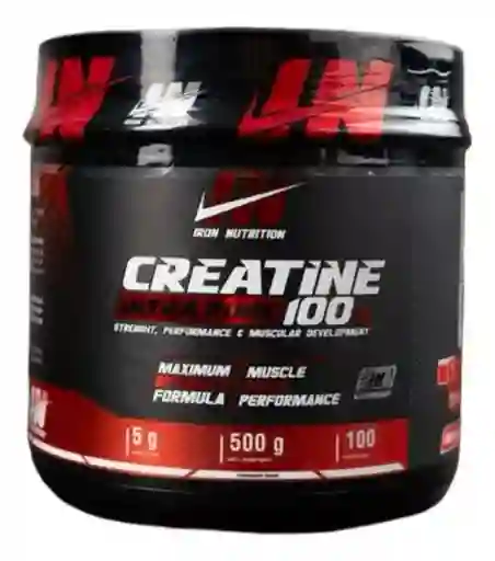 Creatina Monohidratada Iron 500 Gr