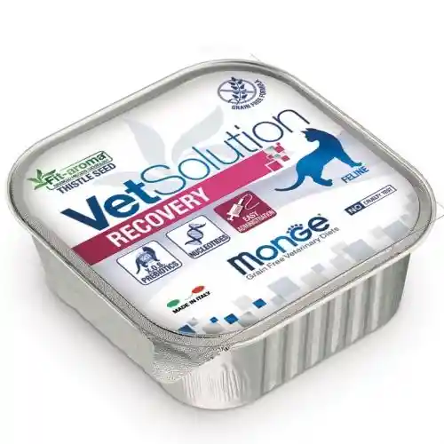 Vetsolution Recovery Cat X 100grs