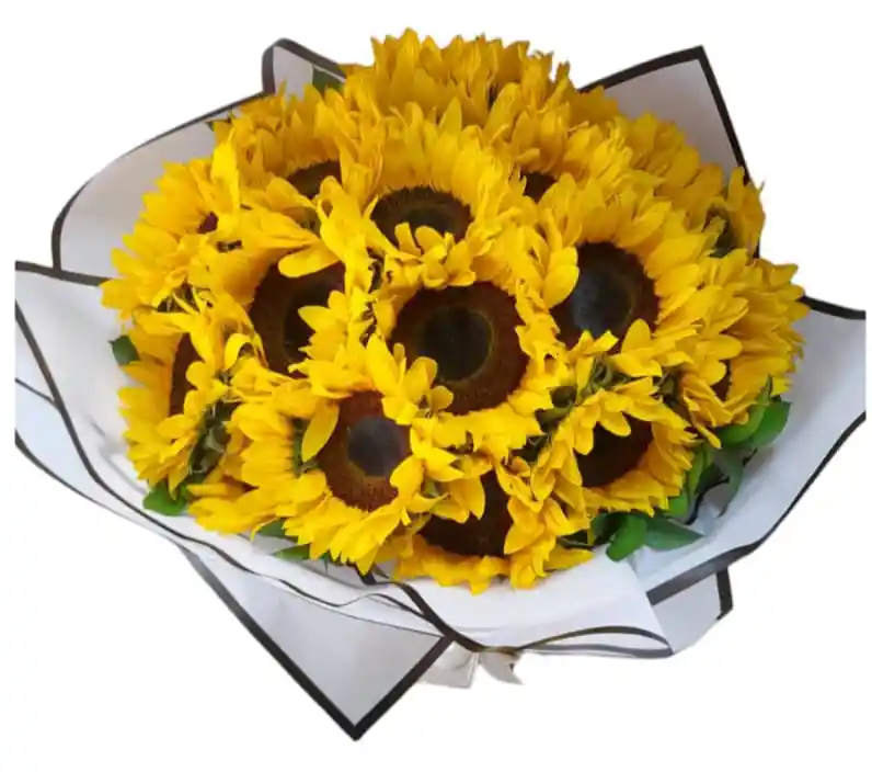 Flores De Girasoles