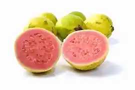 Guayaba