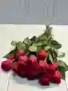 Paquete De Rosas Fucsias