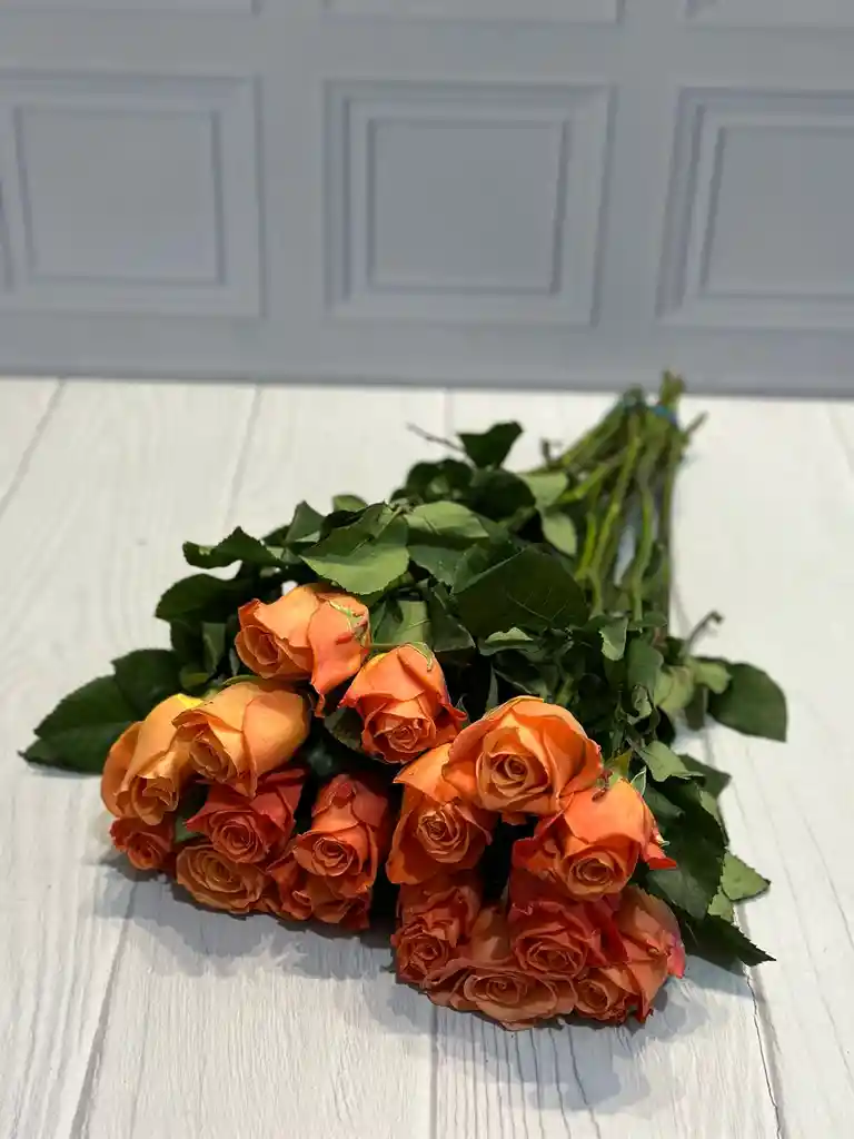 Paquete De Rosas Naranja