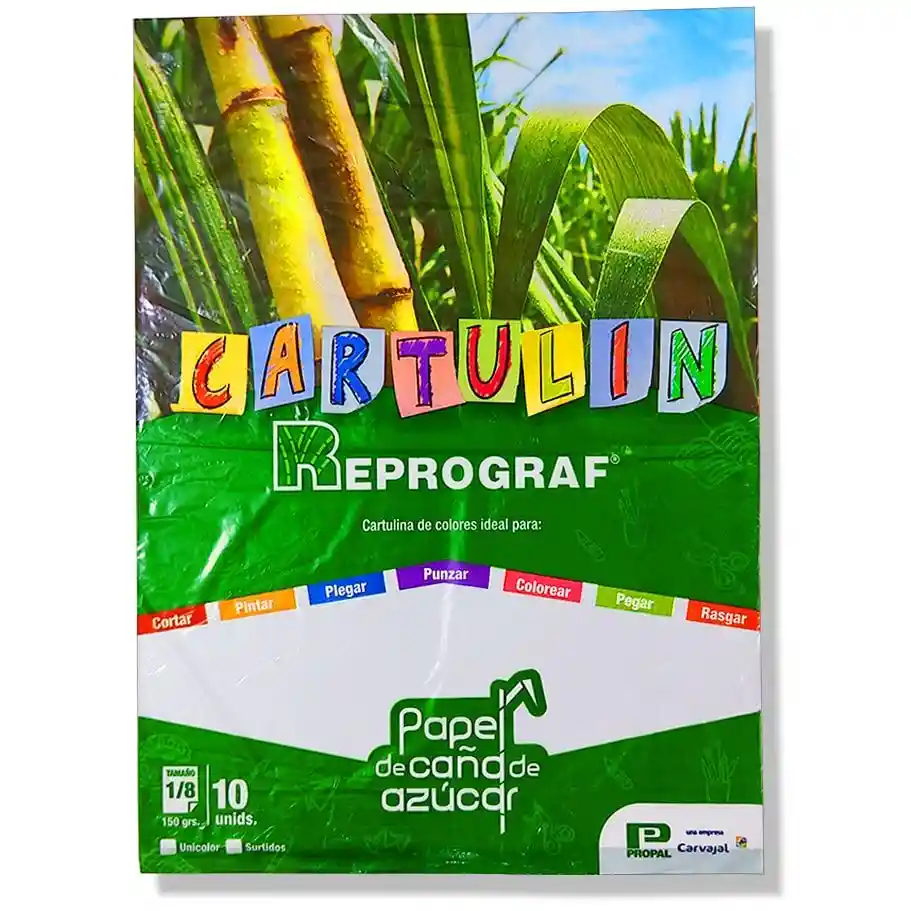Cartulina Bristol 1/8 Pte *10 Blanca