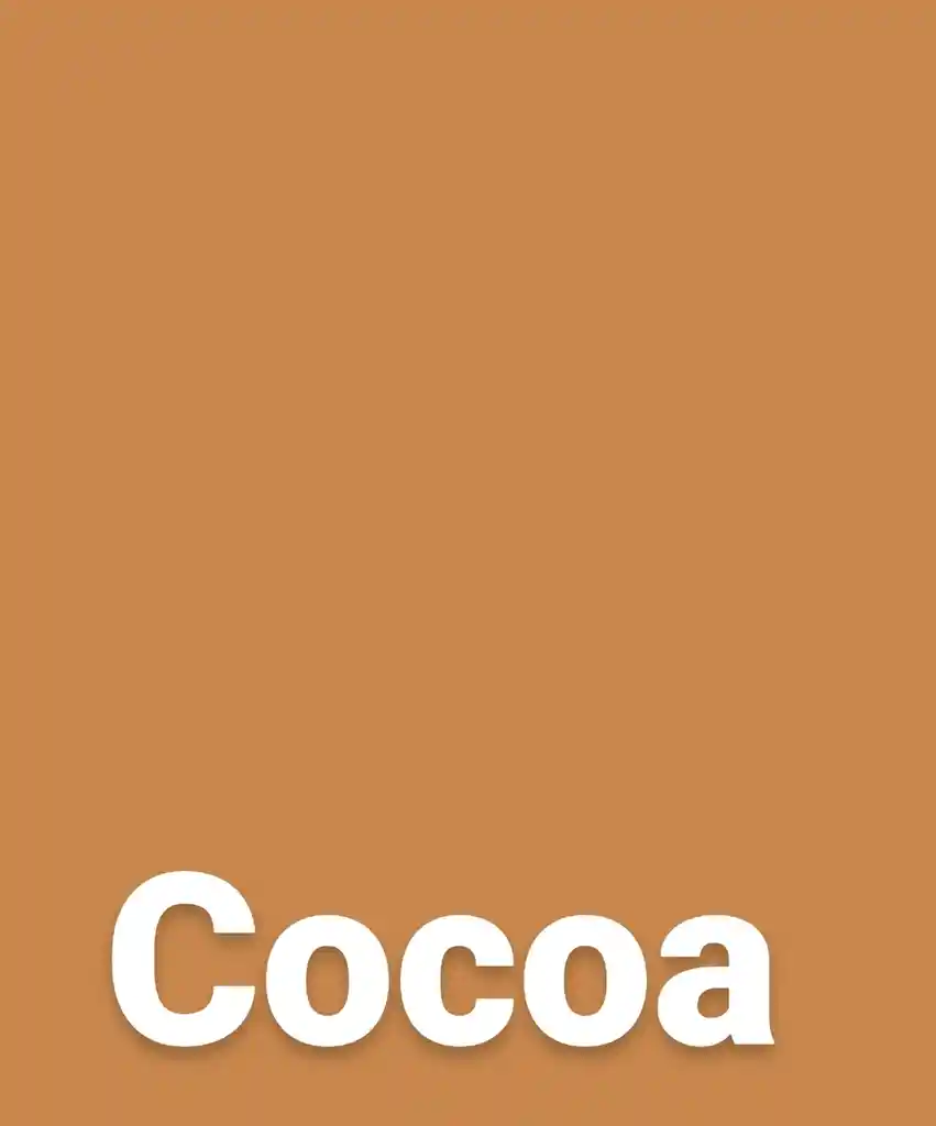 Polvo Compacto Anamaria (ana María) Cocoa 15g