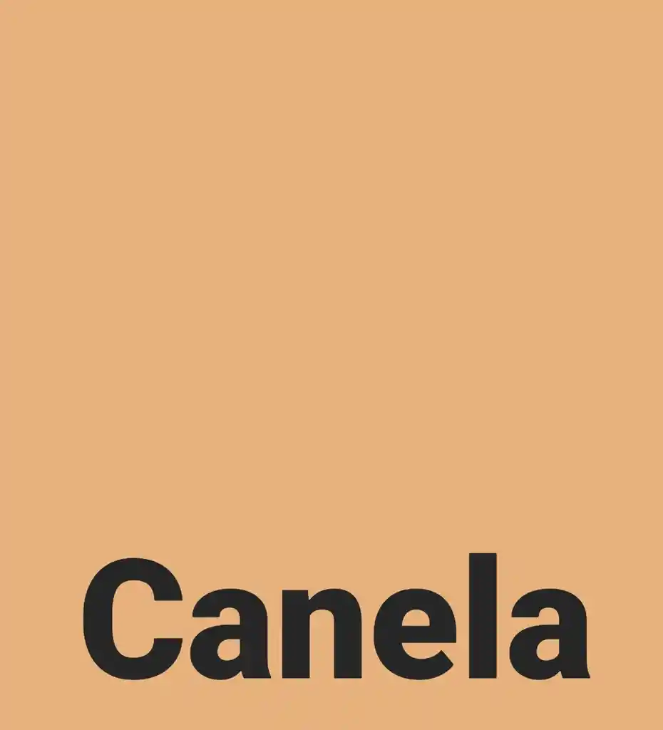 Polvo Compacto Anamaria (ana María) Canela 15g