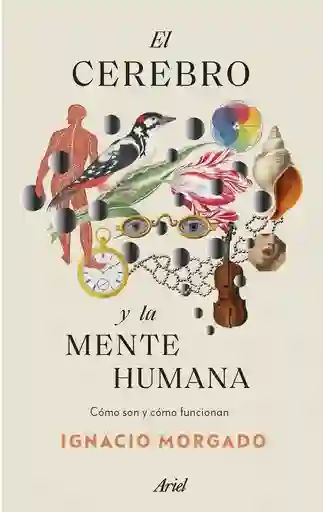 El Cerebro Y La Mente Humana