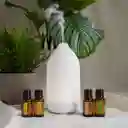 Difusor Laluz - Doterra