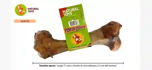 Femur De Cerdo