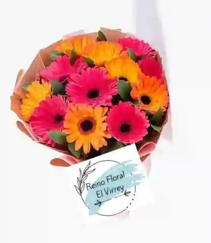 Gerberas Multicolor