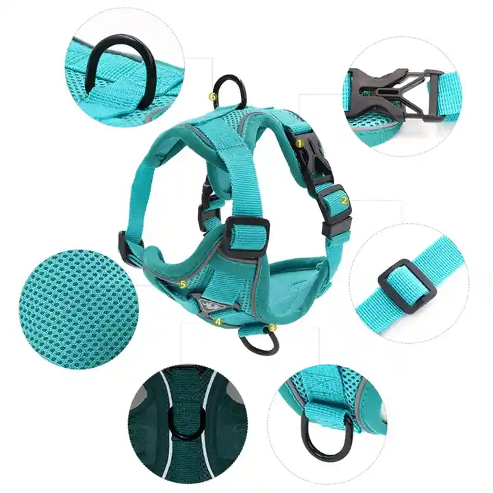 Arnés Reflectivo Para Perro Con Correa Azul Talla Xl