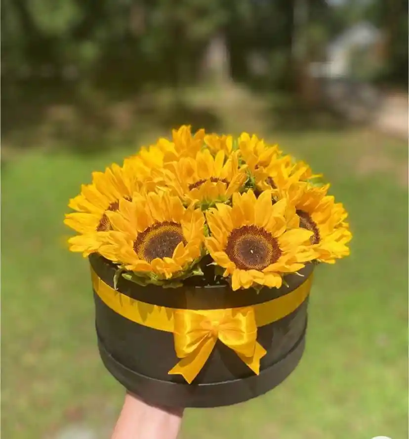 Box De Lujo Girasoles