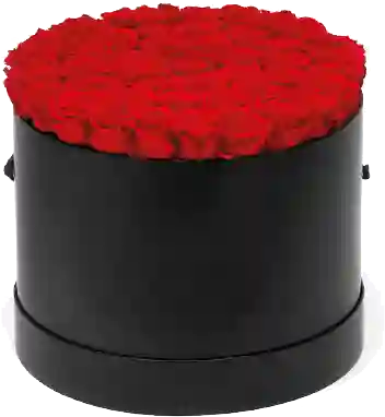 Caja Top Negra Cilindrica Con Rosas Preservadas Rojas
