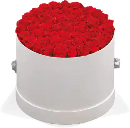 Caja Top Blanca Cilindrica Con Rosas Preservadas Rojas