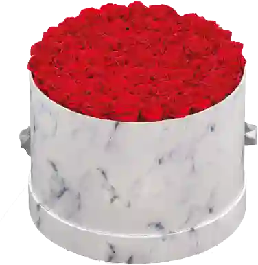 Caja Top Blanca Mármol Cilíndrica Con Rosas Preservadas Rojas