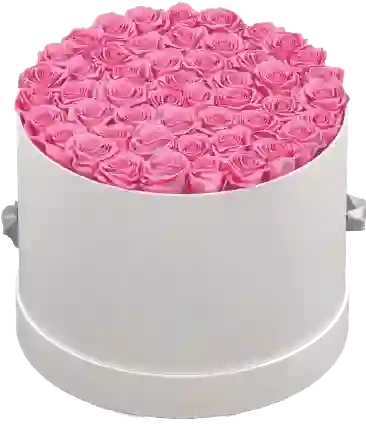 Caja Top Blanca Cilíndrica Con Rosas Preservadas Rosadas
