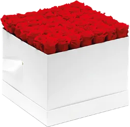 Caja Top Blanca Cuadrada Con Rosas Preservadas Rojas