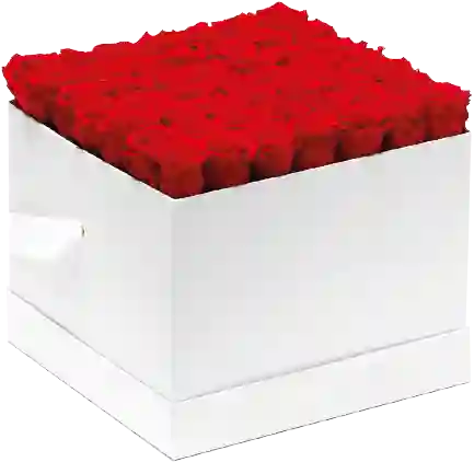 Caja Top Blanca Cuadrada Con Rosas Preservadas Rojas