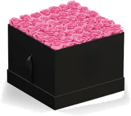 Caja Top Negra Cuadrada Con Rosas Preservadas Rosadas