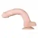 Dildo Realista Posable 26 Cm Evolved Original