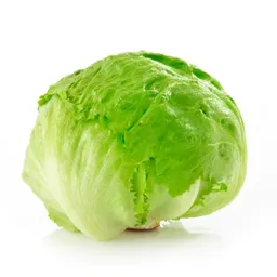 Lechuga Batavia