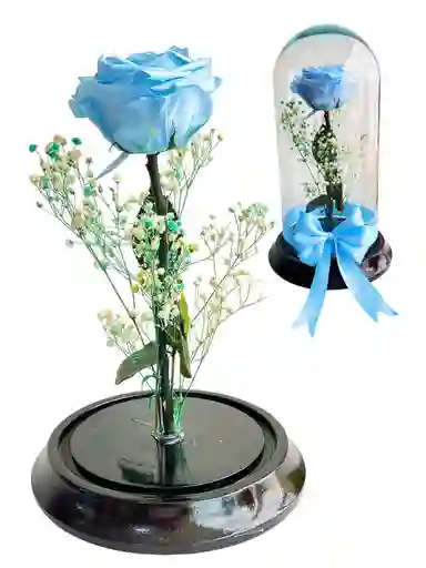Flor Rosa Azul Cielo Inmortalizada - Flor Regalo - Rosa Regalo - Rosa Inmortalizada Con Cupula En Vidrio - Feliz Dia De Las Madres
