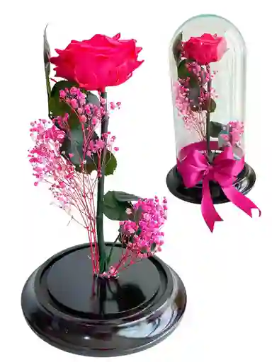Flor Rosa Fucsia Inmortalizada - Flor Regalo - Rosa Regalo - Rosa Inmortalizada Con Cupula En Vidrio - Feliz Dia De Las Madres