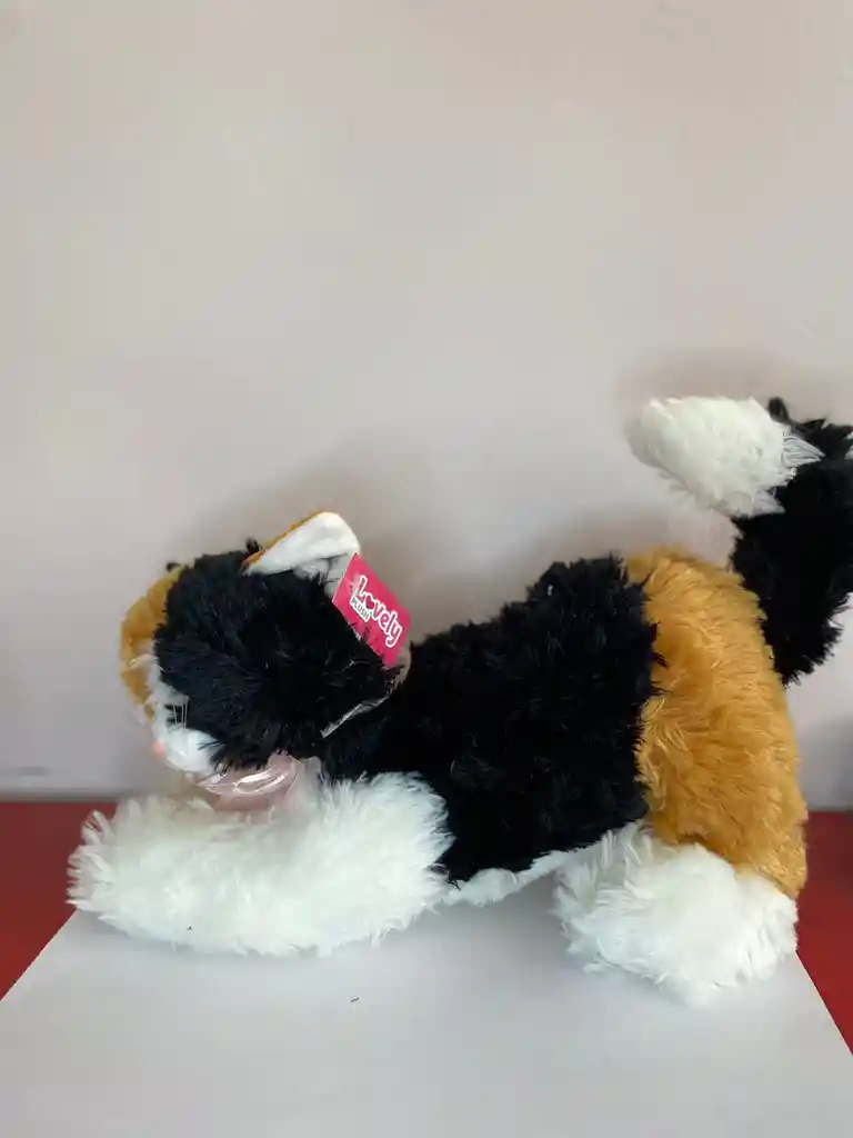 Peluche Gato Negro Con Blanco