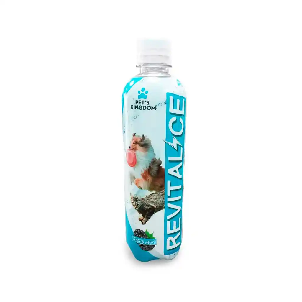 Revitalice Botella X 500ml