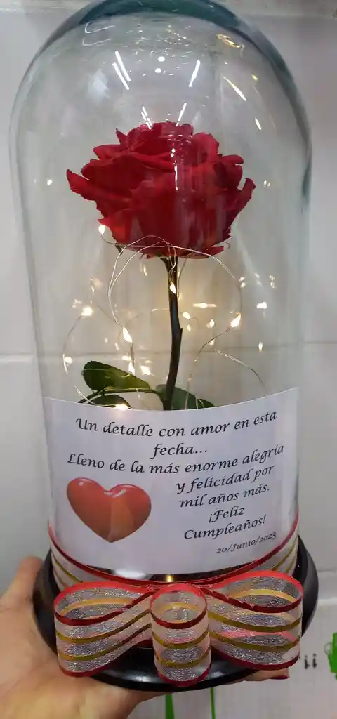 Rosas Preservadas