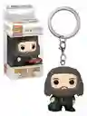 Llavero Funko Pop: Harry Potter Rubeos Hagrid