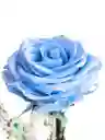 Flor Rosa Azul Cielo Inmortalizada - Flor Regalo - Rosa Regalo - Rosa Inmortalizada Con Cupula En Vidrio