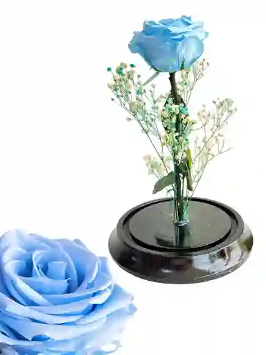 Flor Rosa Azul Cielo Inmortalizada - Flor Regalo - Rosa Regalo - Rosa Inmortalizada Con Cupula En Vidrio