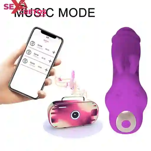 Vibrador Controlado Por Celular