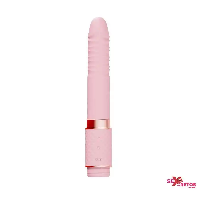 Vibrador De Empuje Sube Y Baja