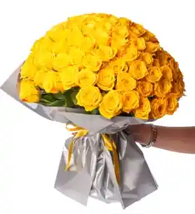 50 Rosas Amarillas