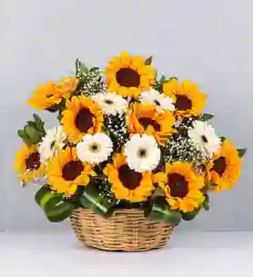 Canasta De Gerberas Y Girasoles