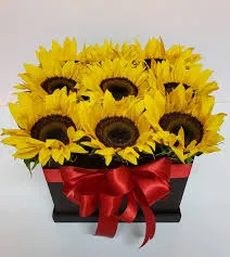 Caja Cuadrada De Girasoles