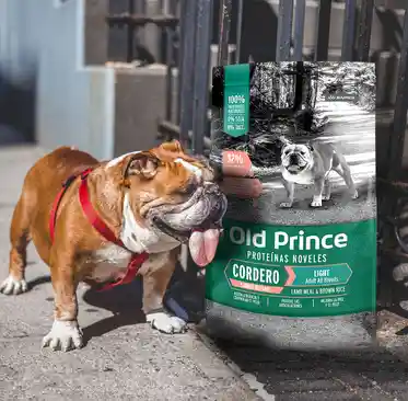 Old Prince Para Perro Light 6lbs Cordero Alimento Para Perros De Cordero Light Control De Peso 6lbs