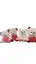 Peluche Osito Corazon Amor Surtido 20cm