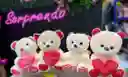 Peluche Osito Corazon Amor Surtido 20cm