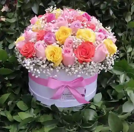 Cilindro 24 Rosas