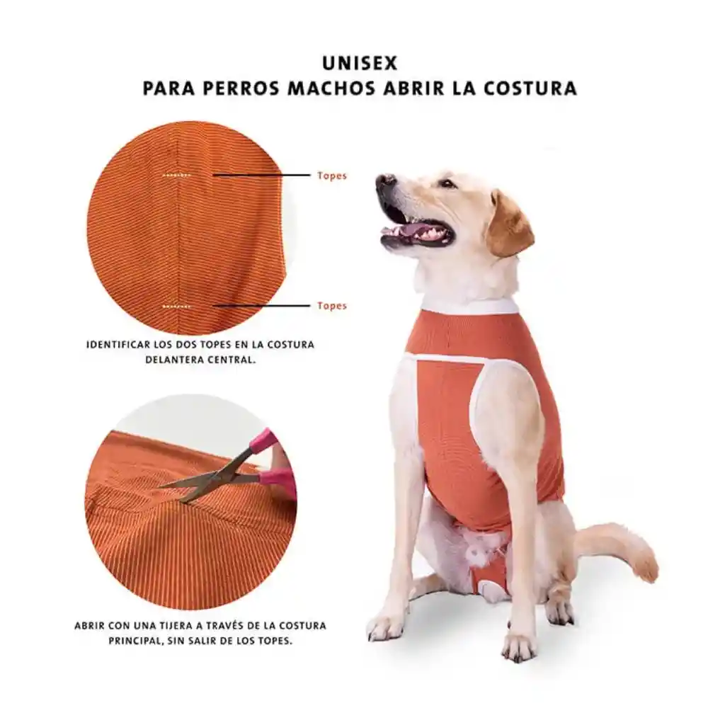 Faja Posquirurgico Para Mascotas Xxl