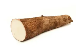 Yuca