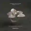 Anillo Orquidea Phalaenopsis Plata Ecológica