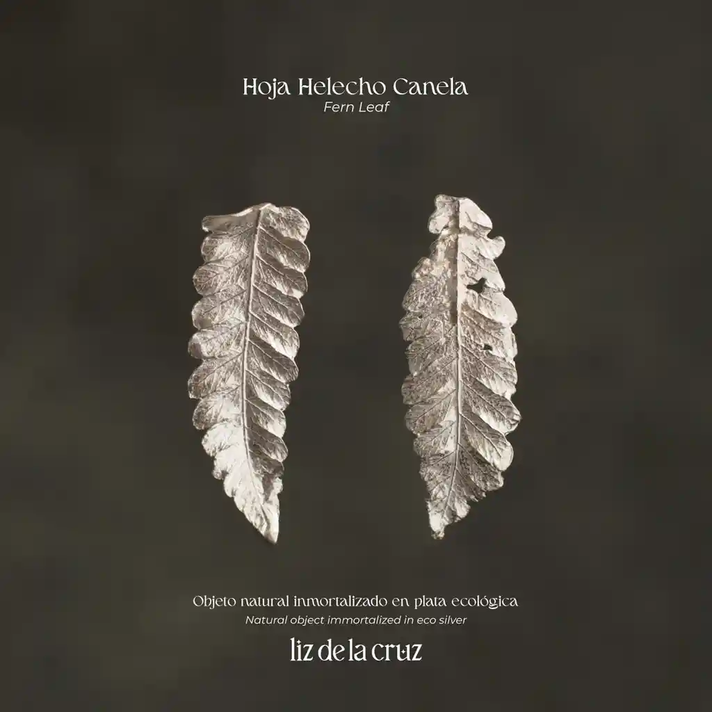 Aretes Topo Helecho Canela Plata Ecológica