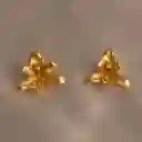 Aretes Topo Orquidea Maxilaria